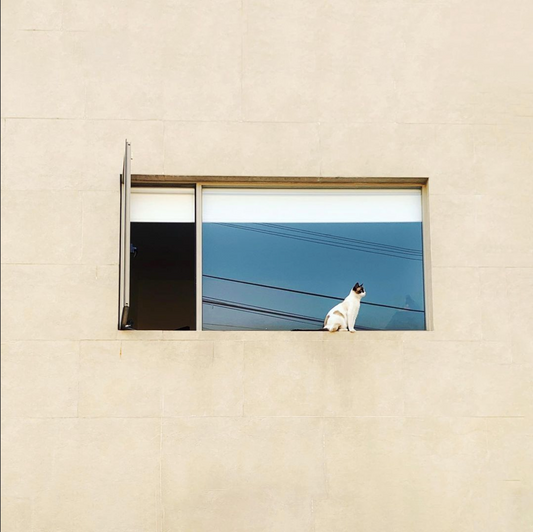 "When I journal, I feel like someone is watching"